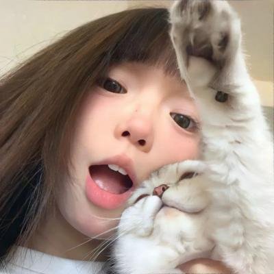 火红的杜鹃花